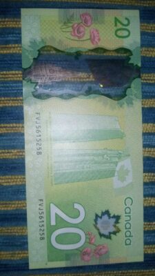 Purchase Canadian Dollar 20 Notes Ontario