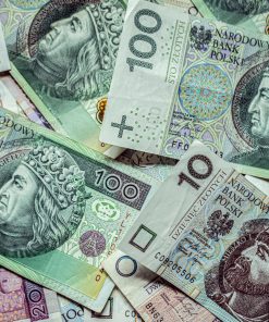 Buy Counterfeit Swedish Krona Banknotes
